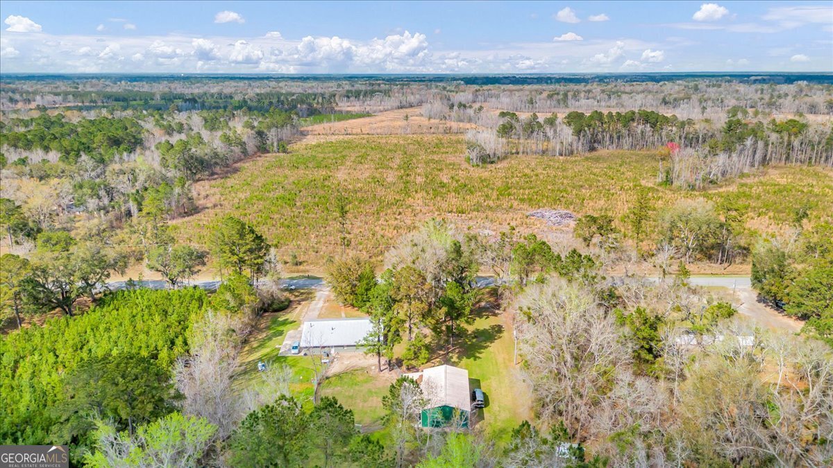 3843 Lewis Frasier Road Midway - Photo 42