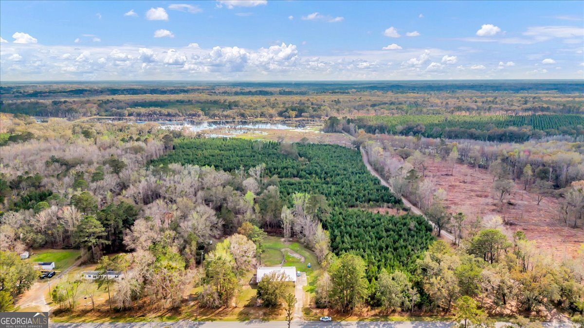 3843 Lewis Frasier Road Midway - Photo 44