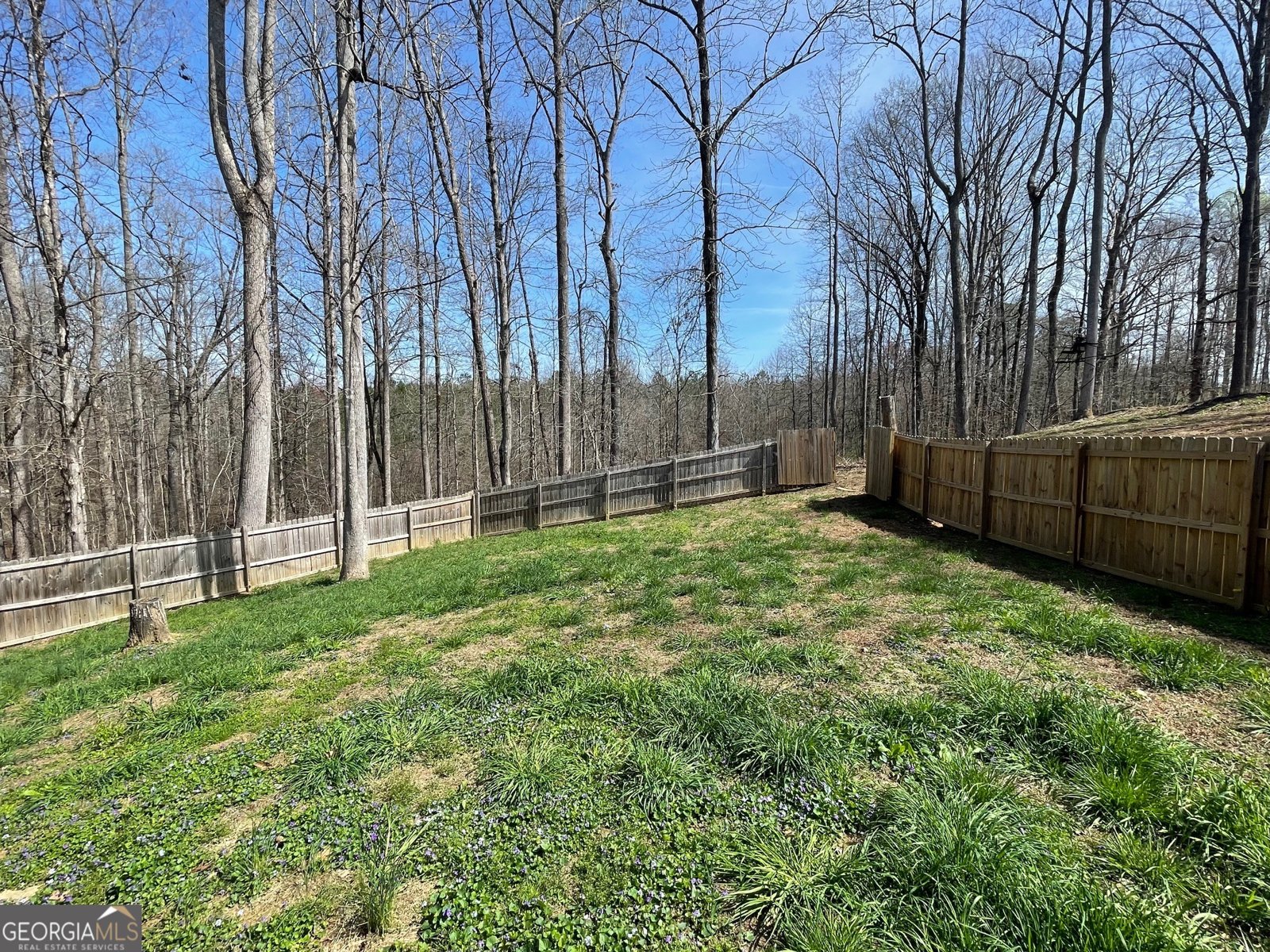 974 Gold Ridge Road Dahlonega - Photo 79