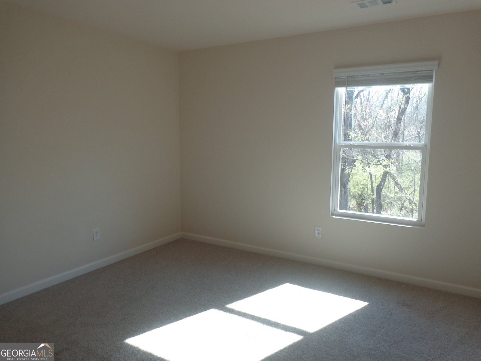 132 Russell Road Pendergrass - Photo 29