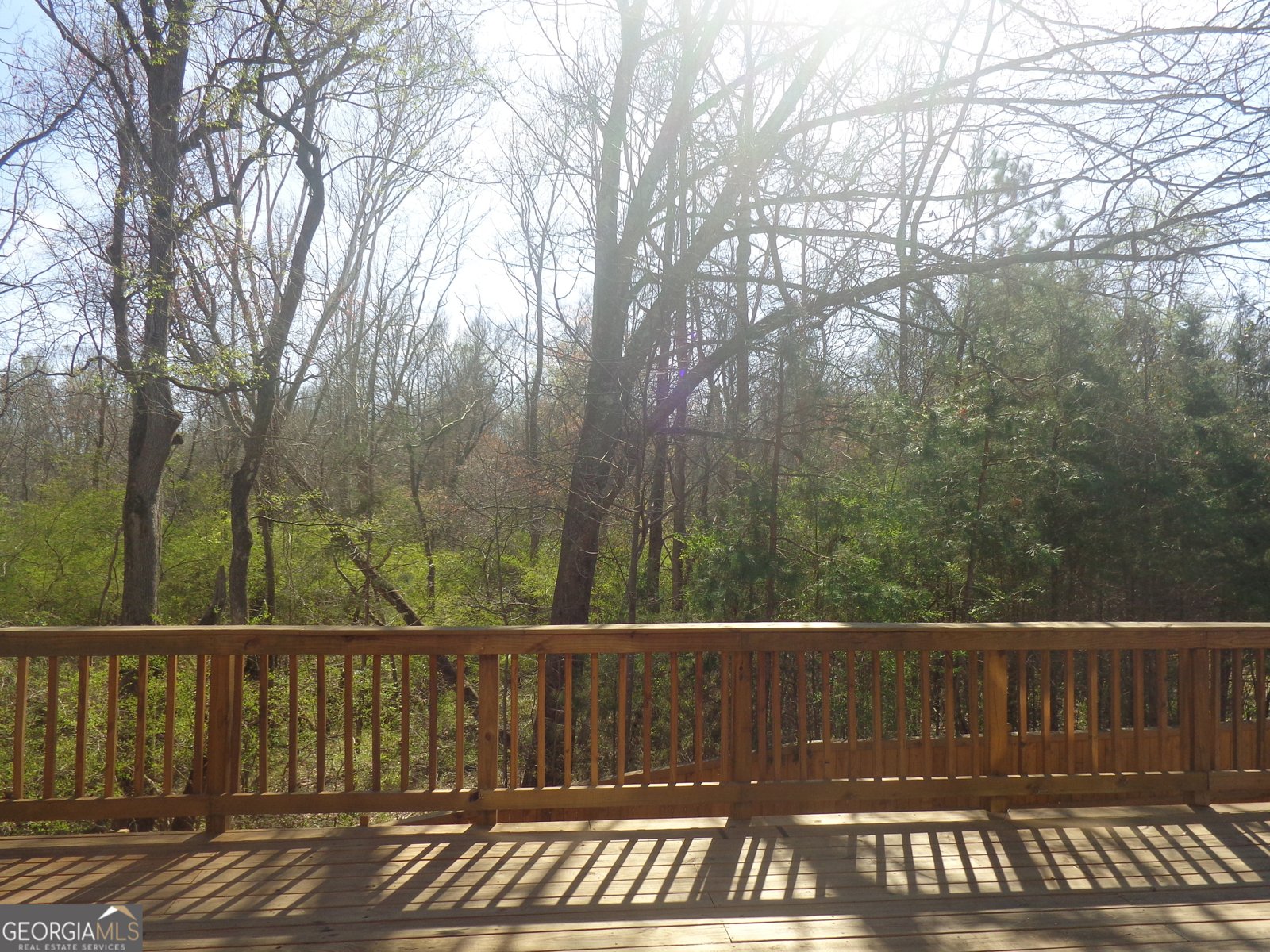 132 Russell Road Pendergrass - Photo 48