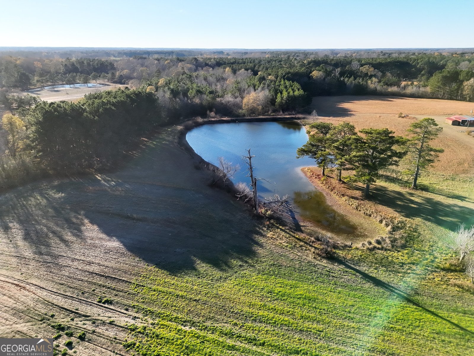 8365 Mt Carmel Senoia - Photo 13