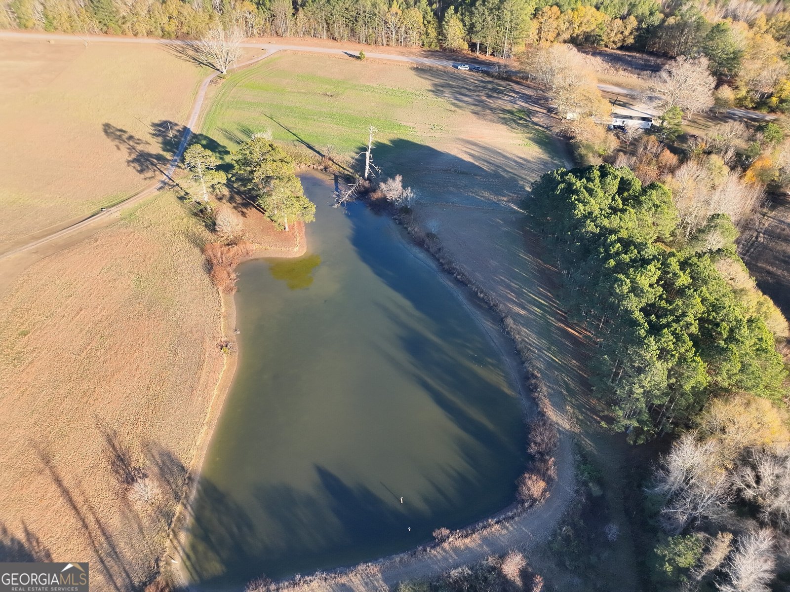 8365 Mt Carmel Senoia - Photo 16