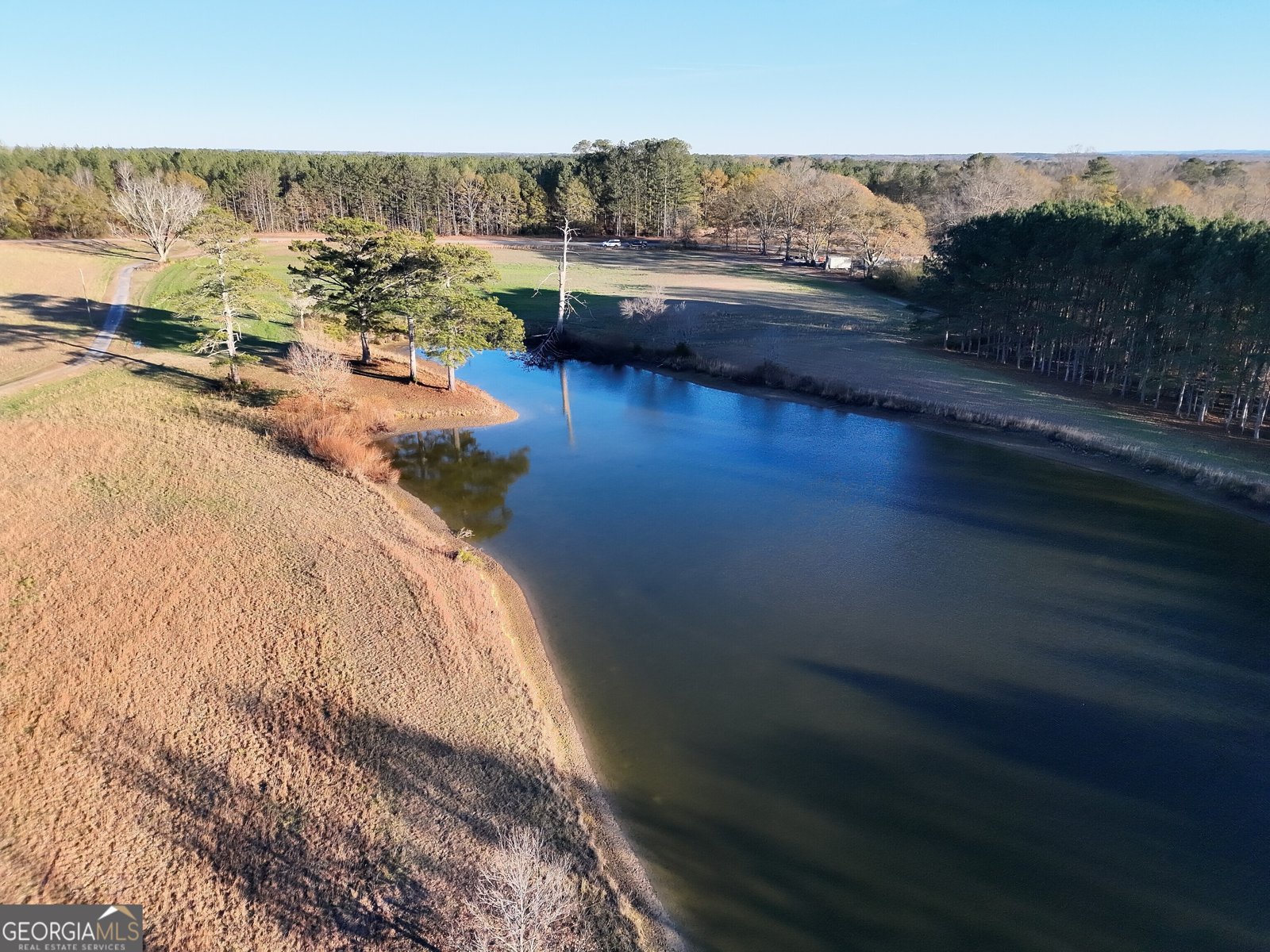 8365 Mt Carmel Senoia - Photo 8