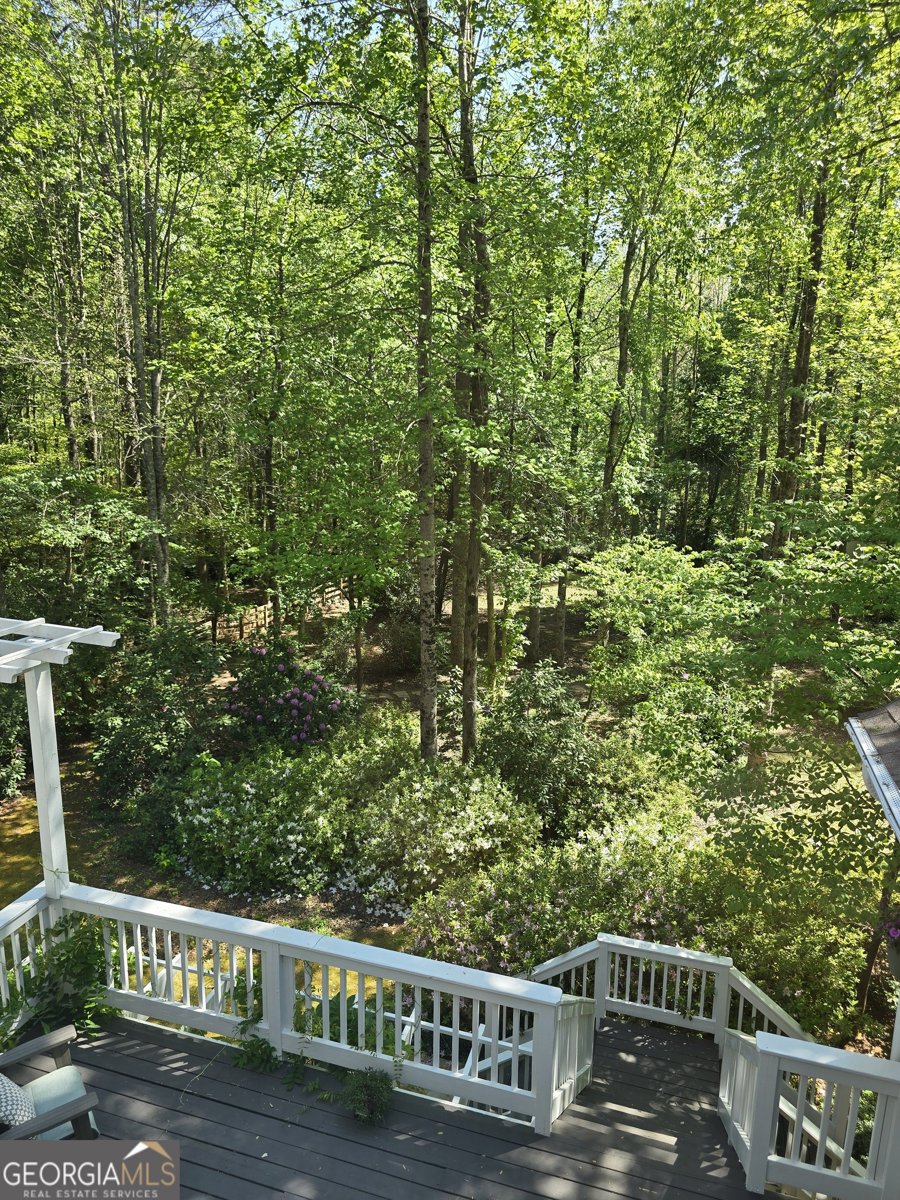 103 Smith Forest Lane Alpharetta - Photo 100