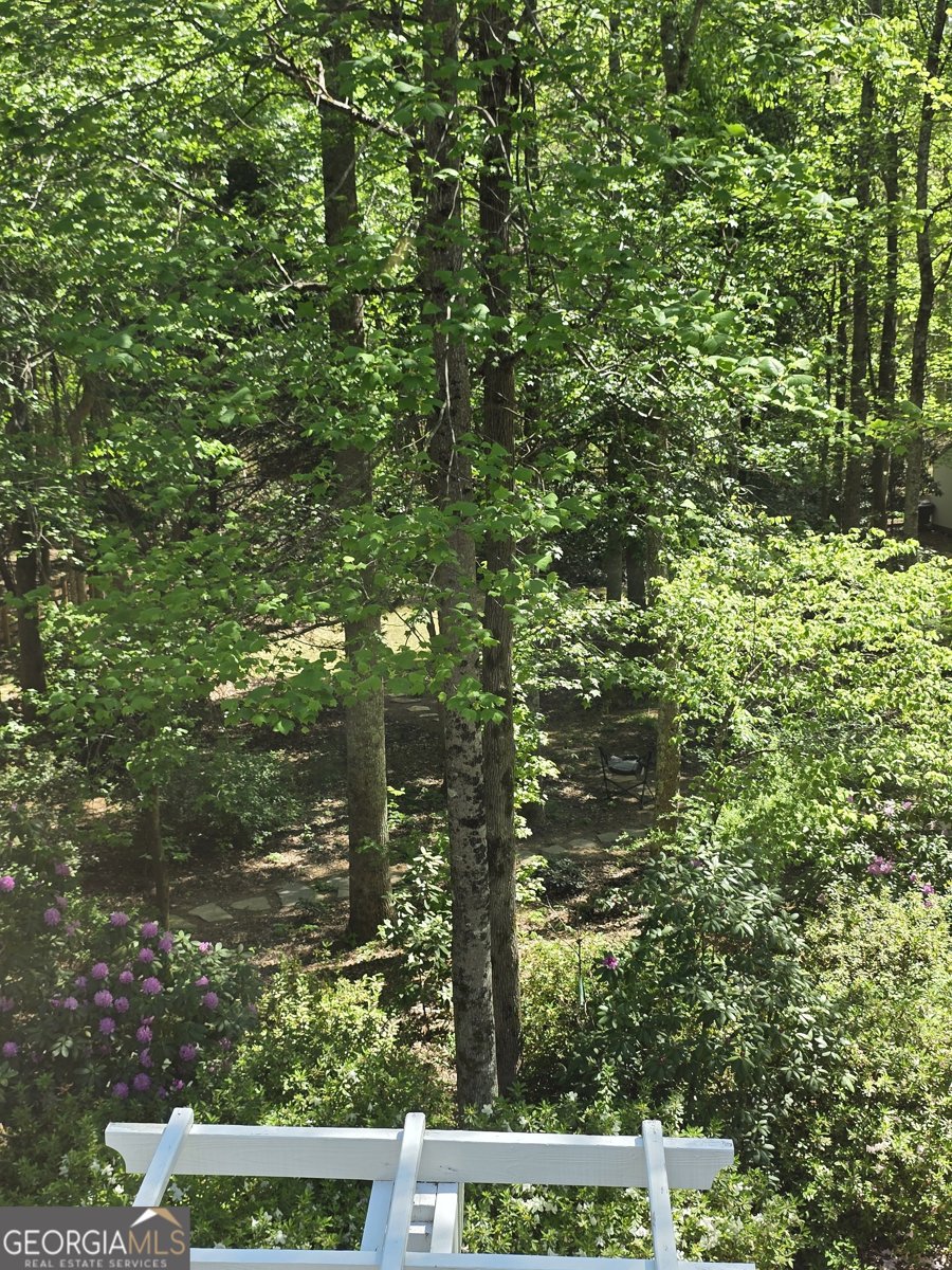 103 Smith Forest Lane Alpharetta - Photo 101