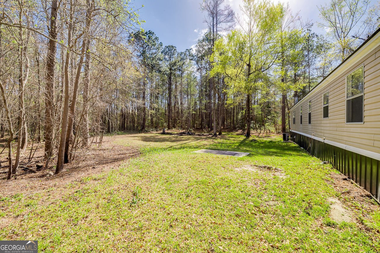 230 Pine Needle Drive Ellabell - Photo 31