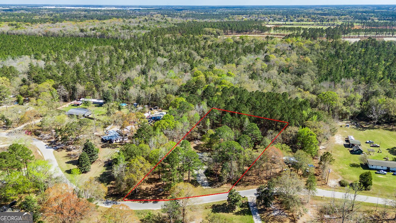 230 Pine Needle Drive Ellabell - Photo 34