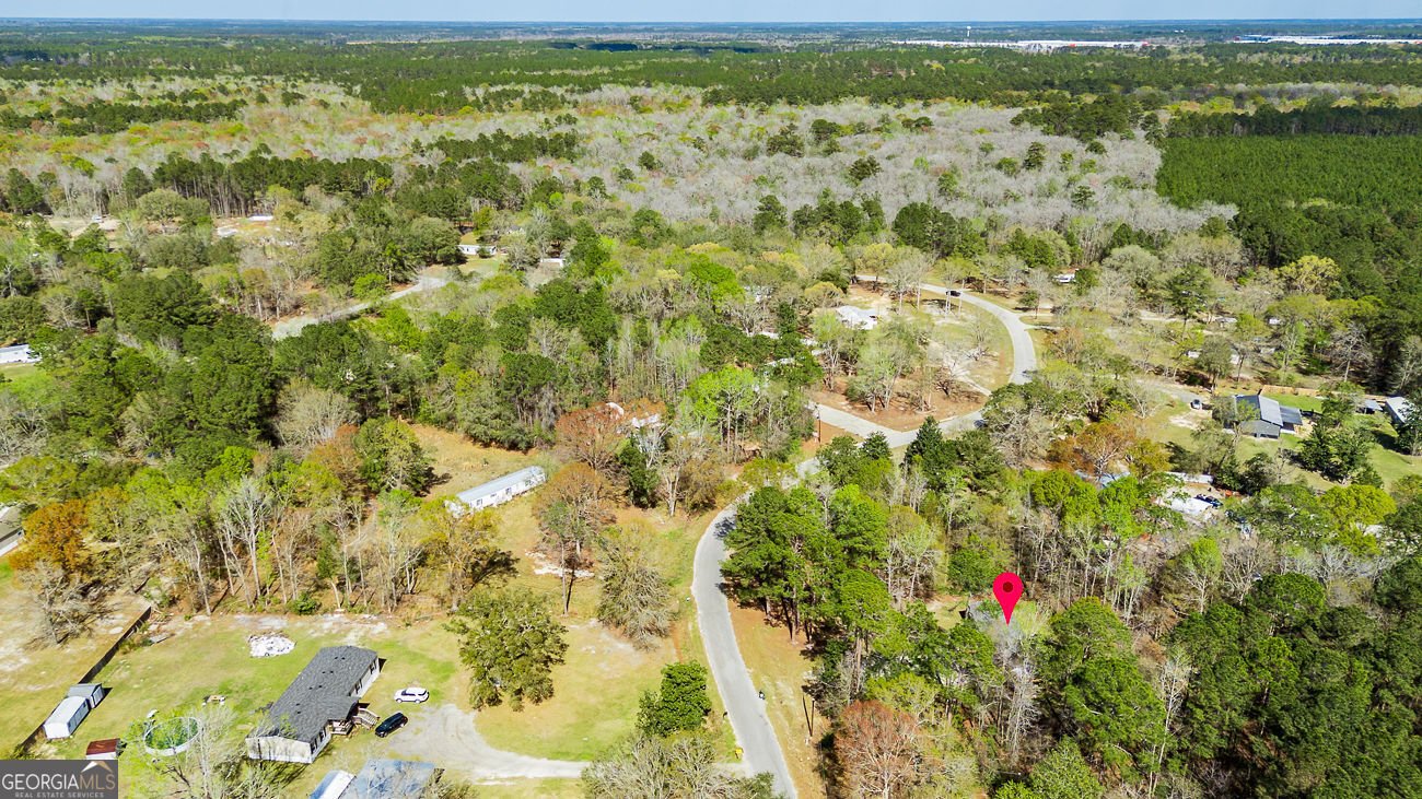 230 Pine Needle Drive Ellabell - Photo 35