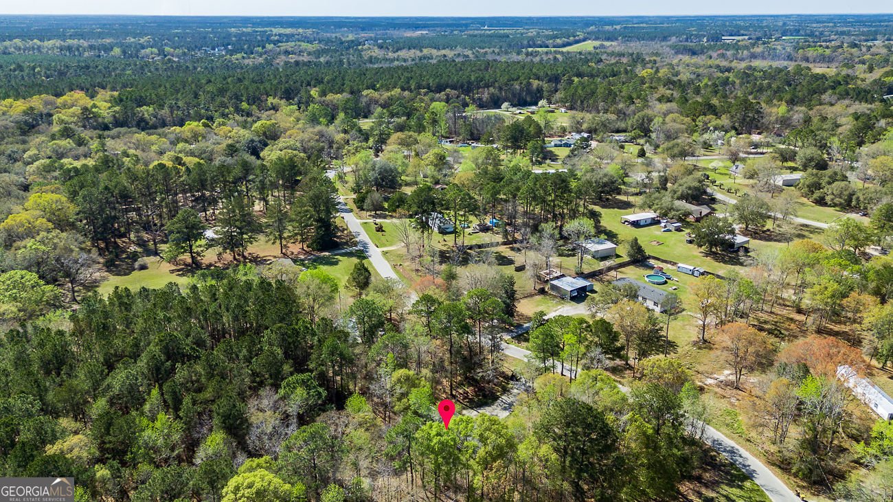 230 Pine Needle Drive Ellabell - Photo 37