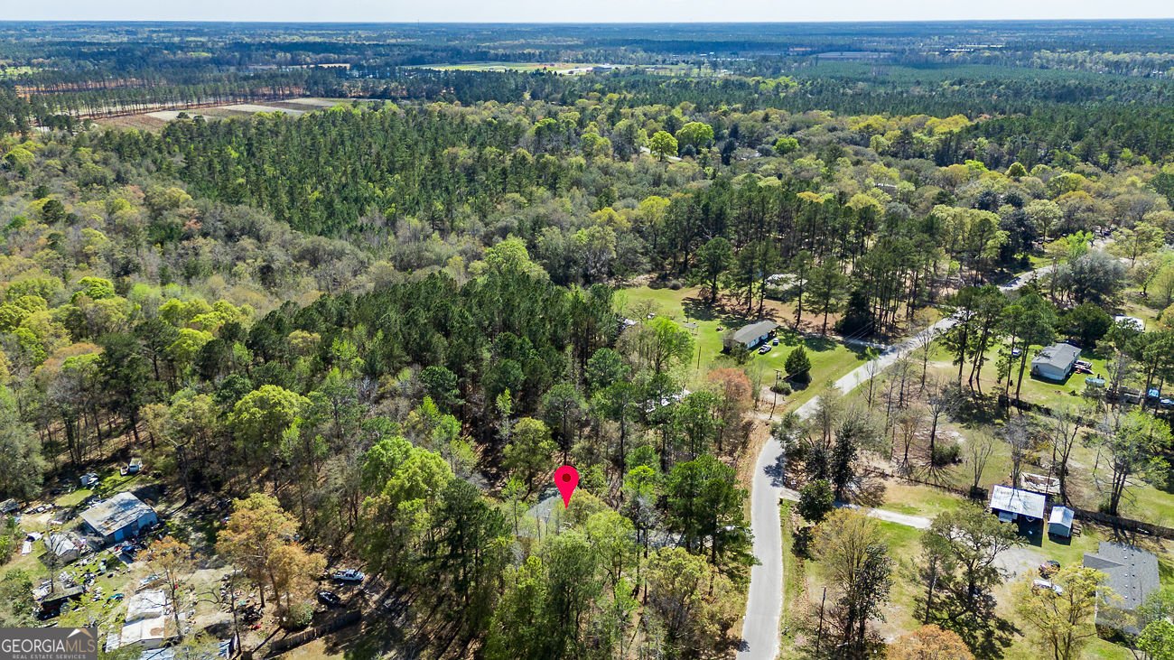 230 Pine Needle Drive Ellabell - Photo 38