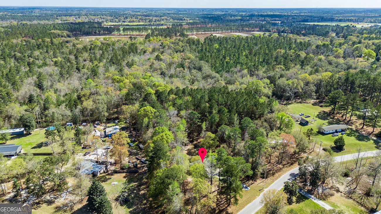 230 Pine Needle Drive Ellabell - Photo 39