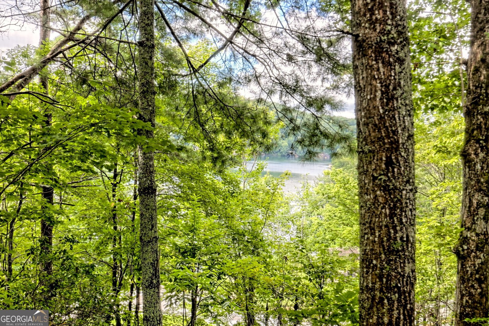 188 Magnolia Place Trail Clayton - Photo 36