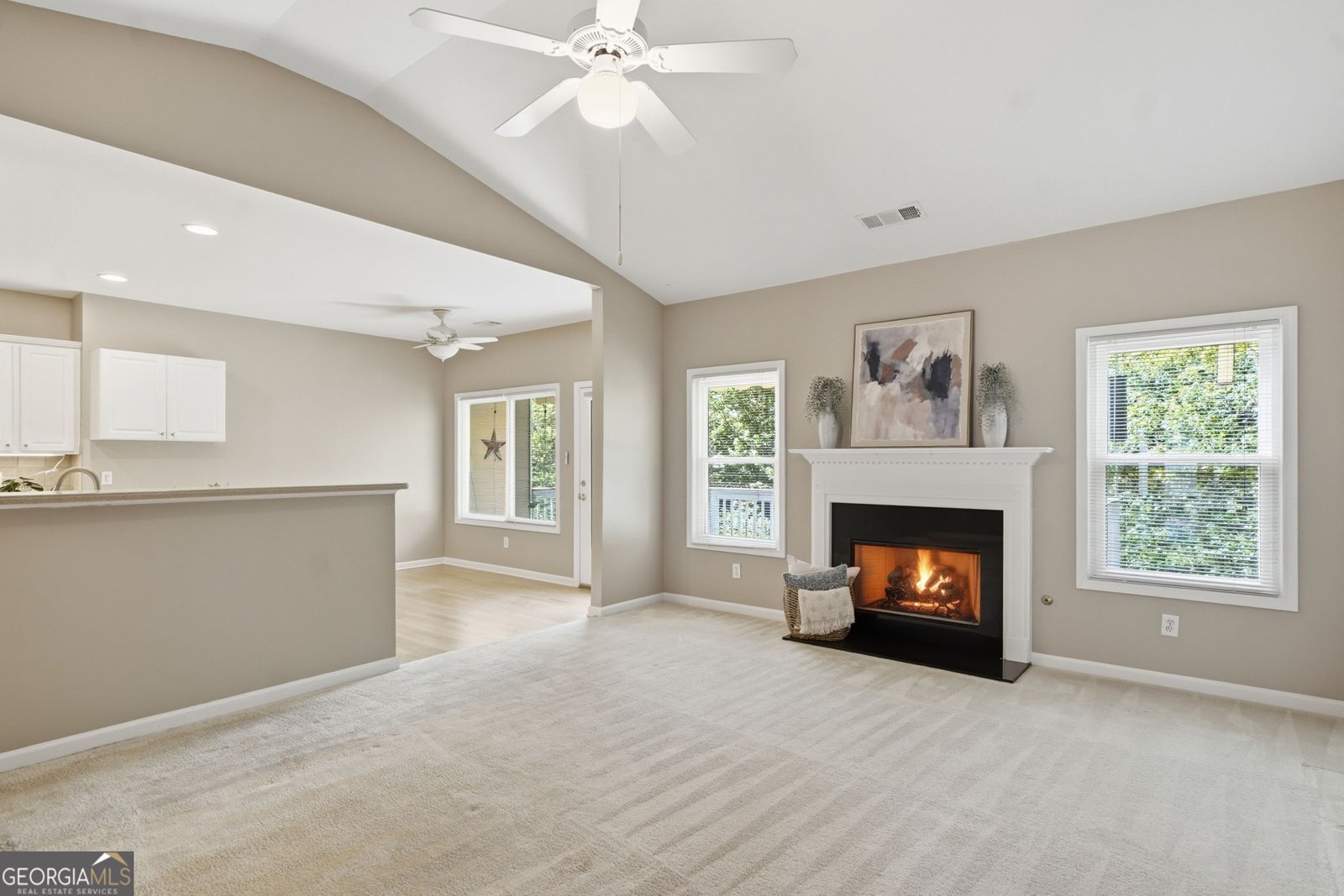 229 Forest Creek Lane Canton - Photo 17