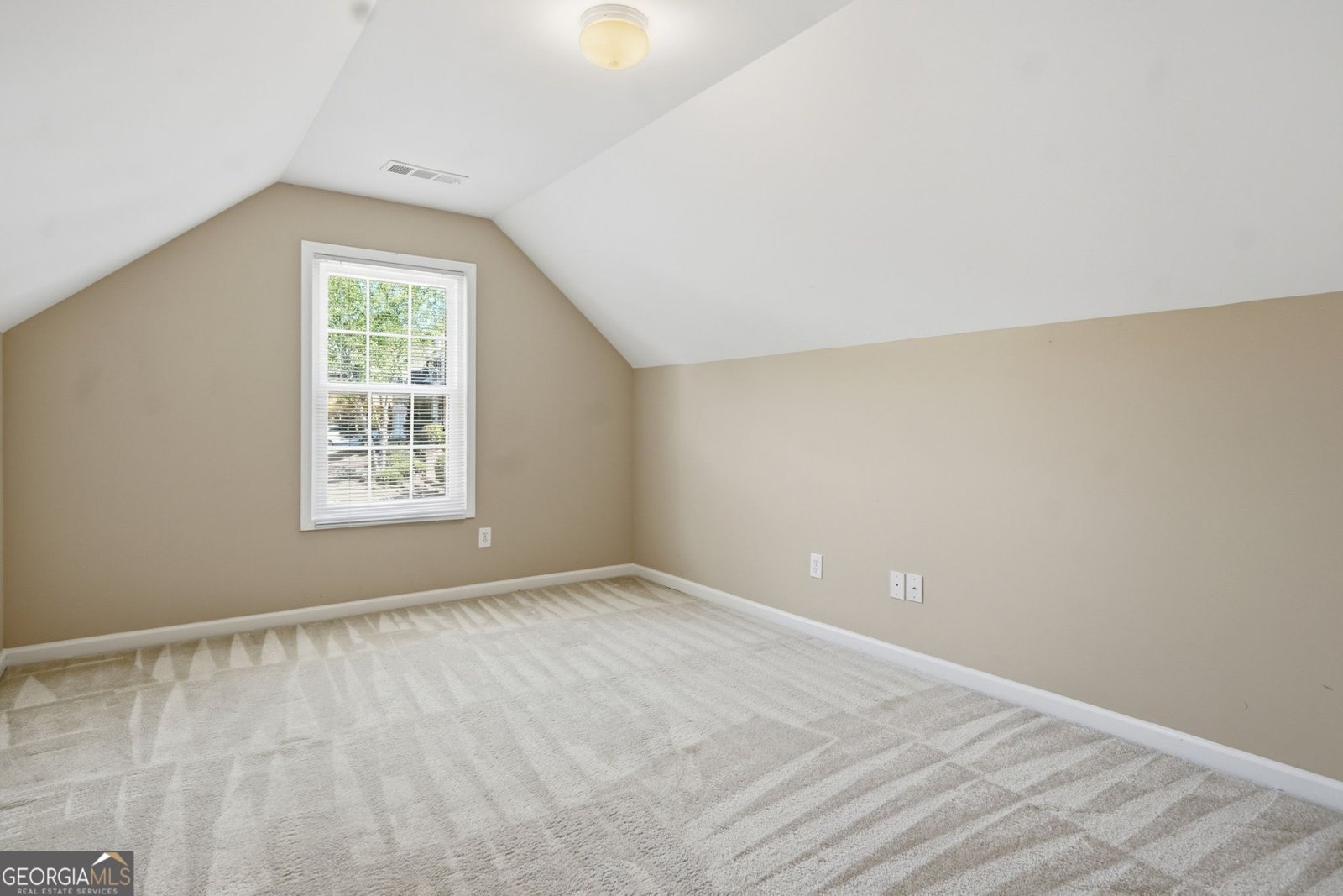 229 Forest Creek Lane Canton - Photo 47