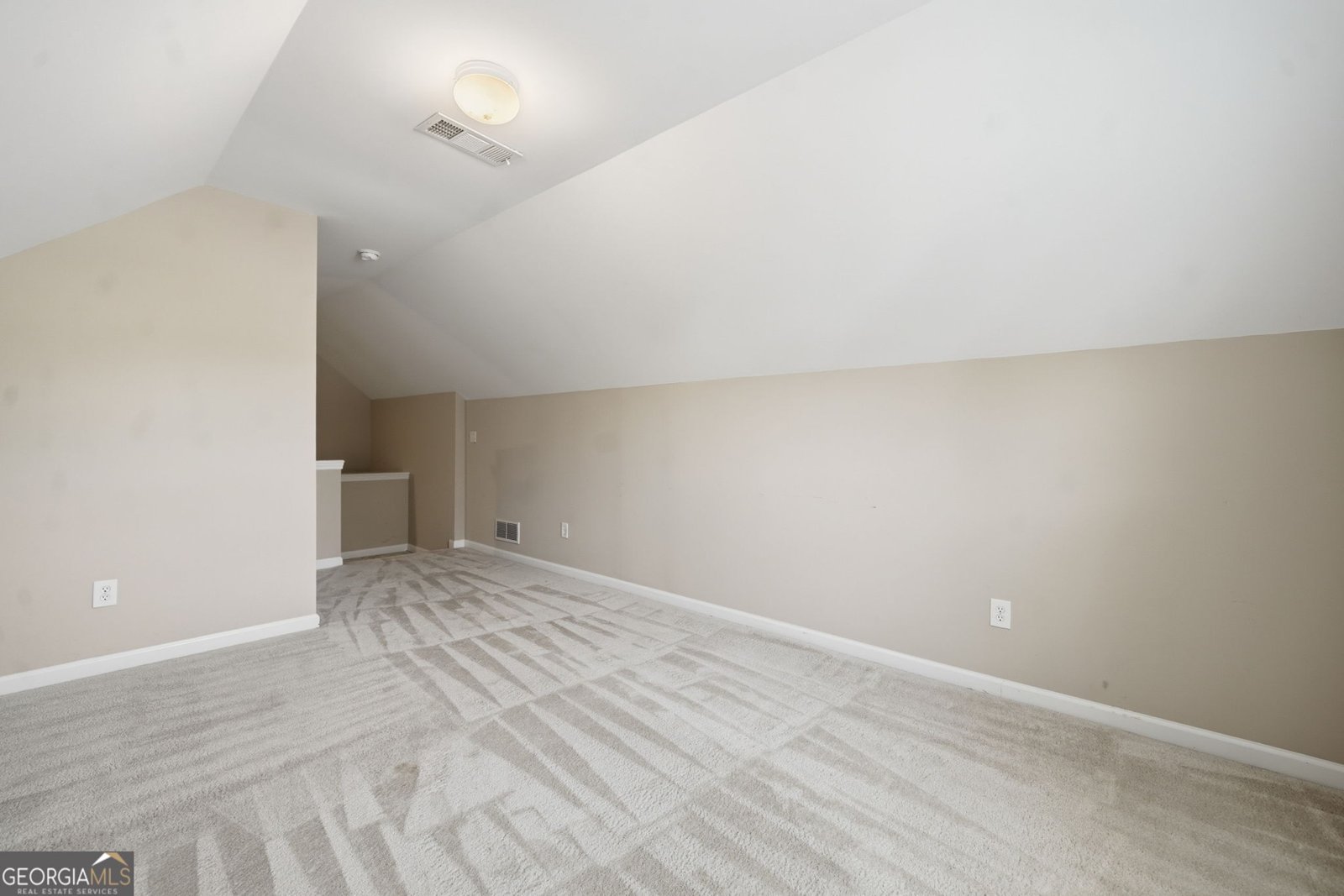 229 Forest Creek Lane Canton - Photo 48