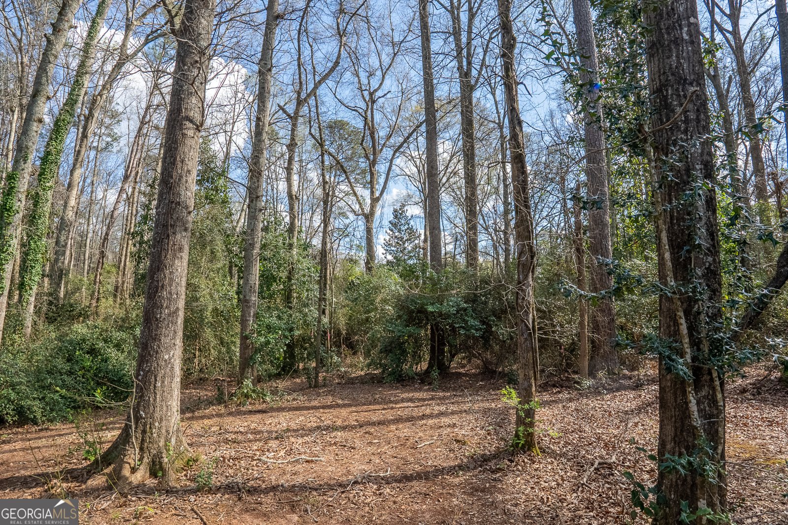 15 Mornside Drive Forsyth - Photo 30