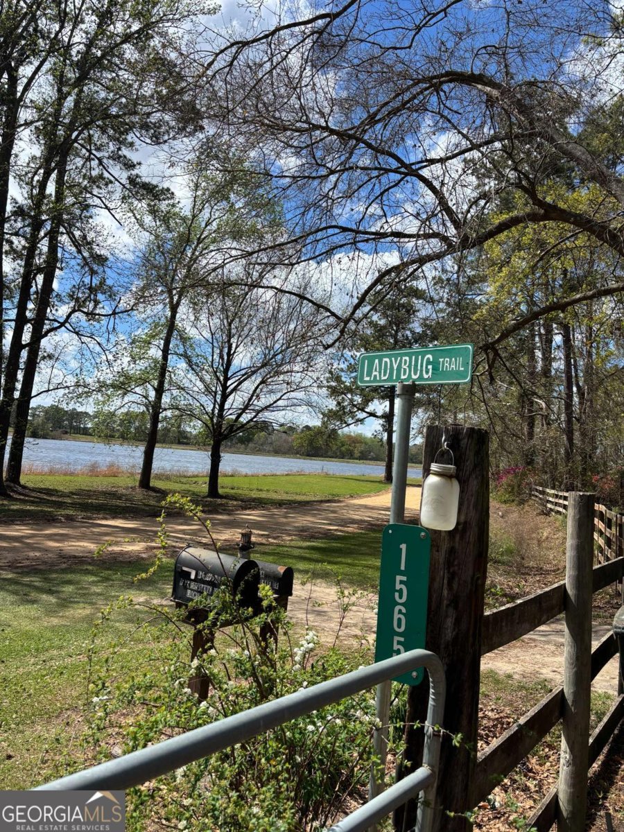 1565 East Lake Drive Screven - Photo 6