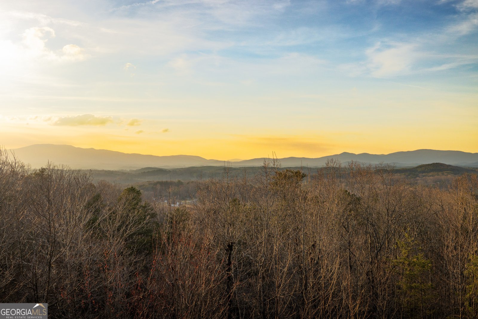 180 Cinnamon Bear Road Mineral Bluff - Photo 49