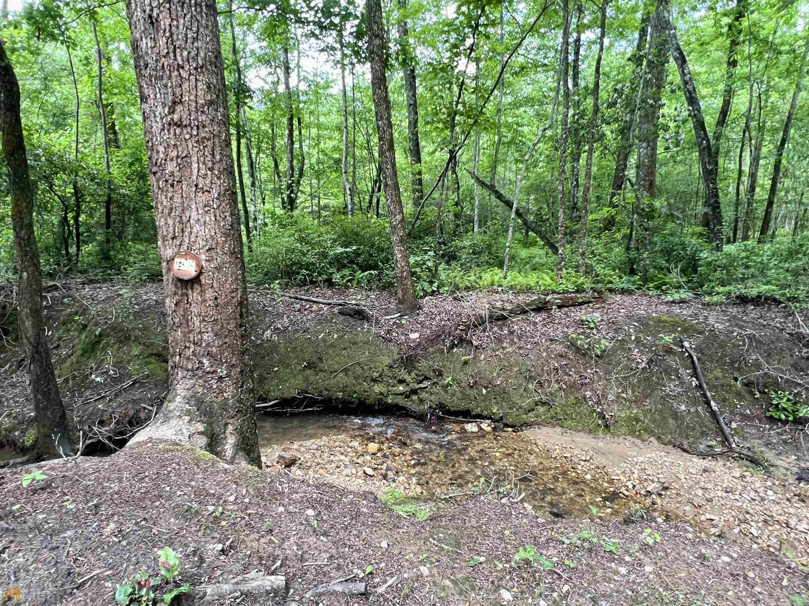 186 Holly Lane Cleveland - Photo 47