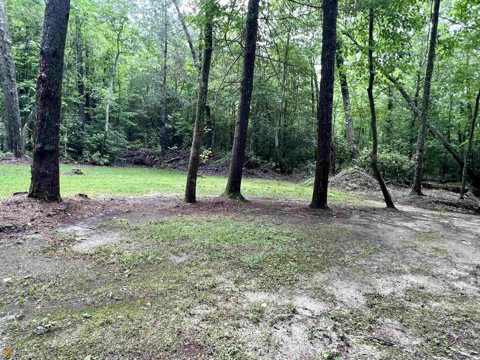 186 Holly Lane Cleveland - Photo 48