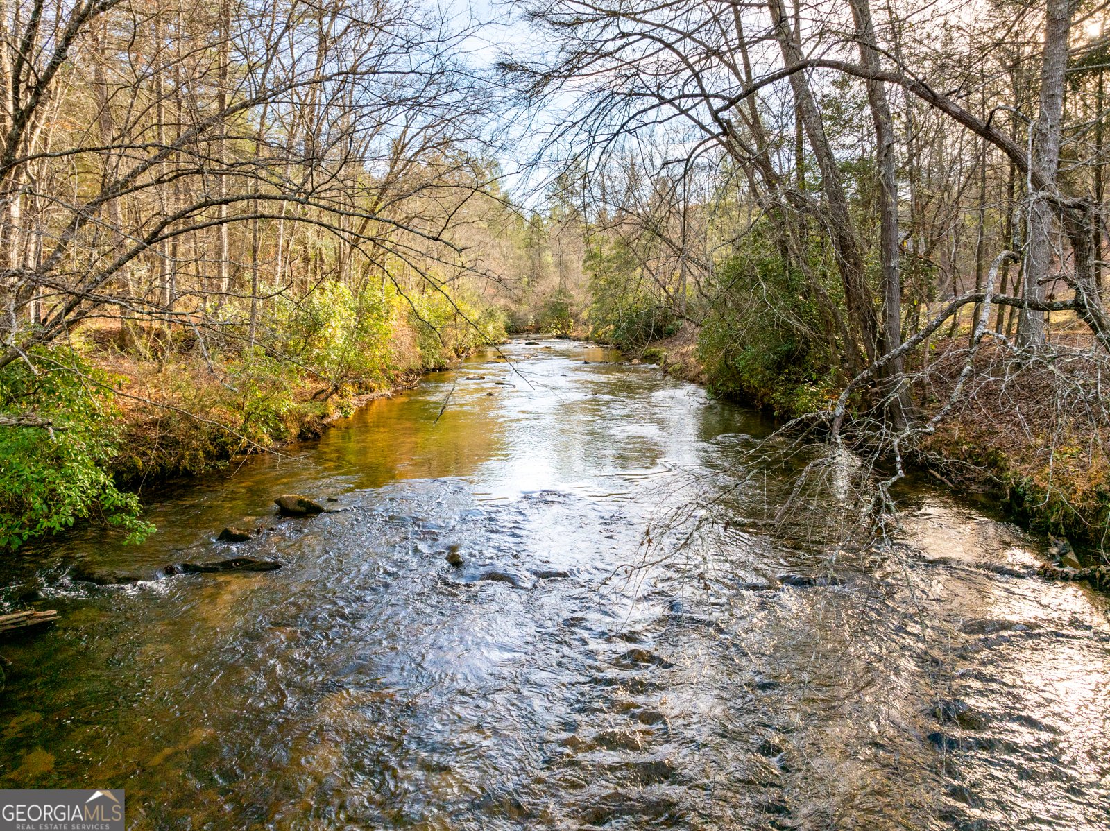 450 Miracle Lane Blue Ridge - Photo 75