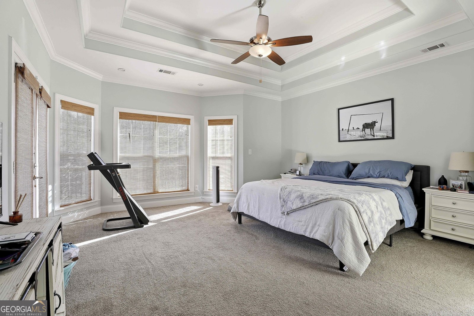 170 Emerson Ridge Trail Senoia - Photo 30