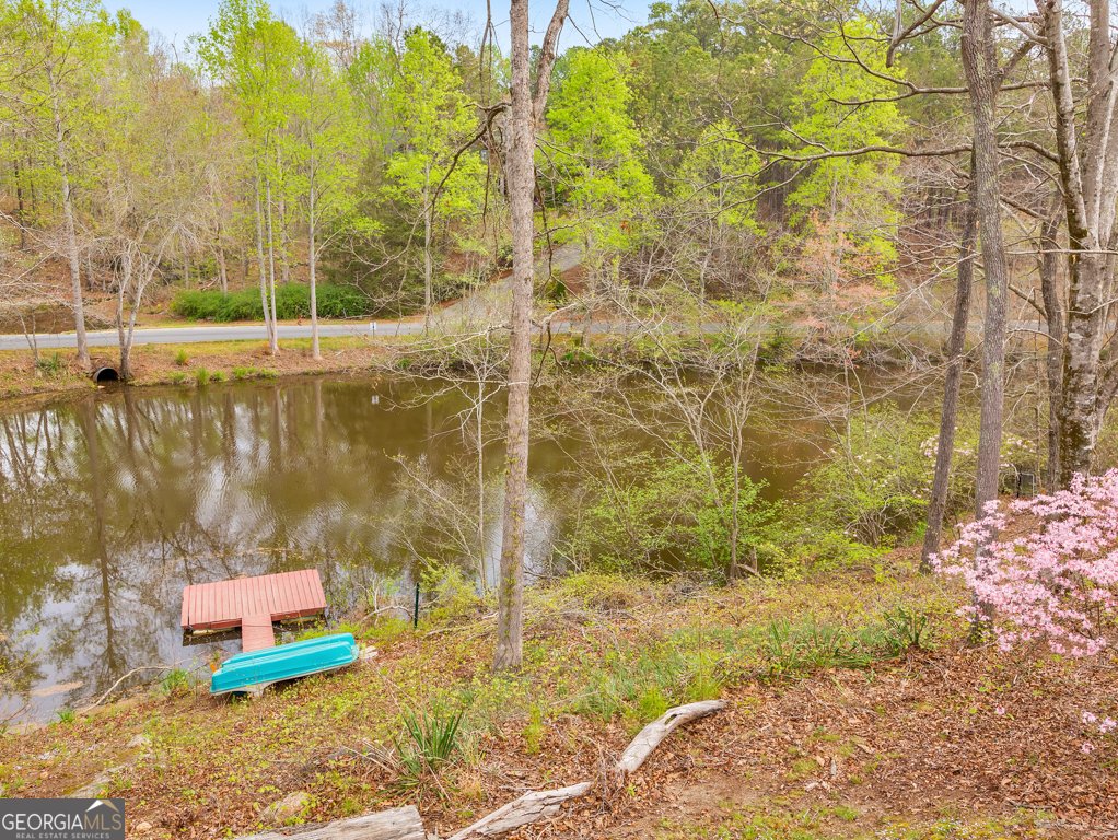 31 Fawn Lake Trail White - Photo 59