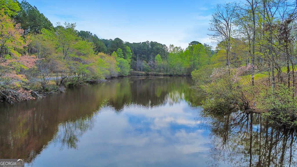 31 Fawn Lake Trail White - Photo 63