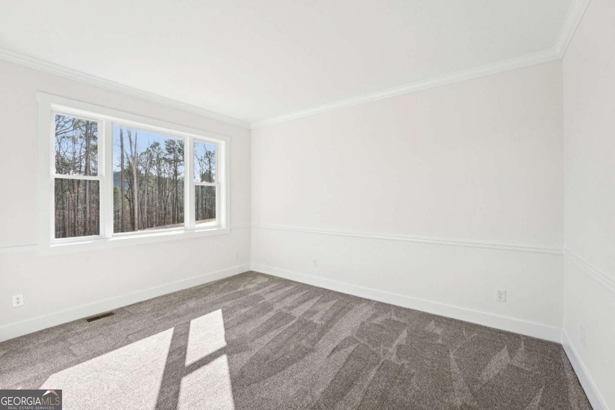 569 Byrd Mountain Lane Canton - Photo 29