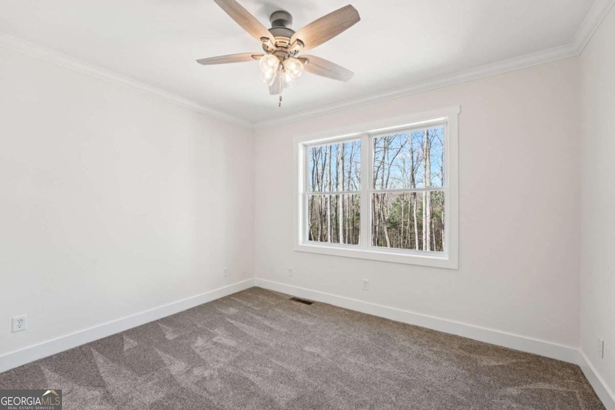 569 Byrd Mountain Lane Canton - Photo 44