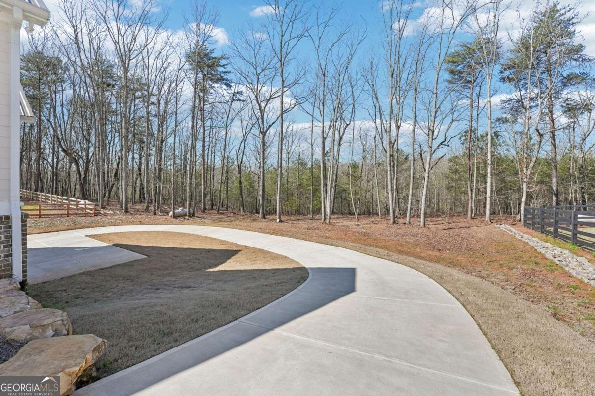 569 Byrd Mountain Lane Canton - Photo 78