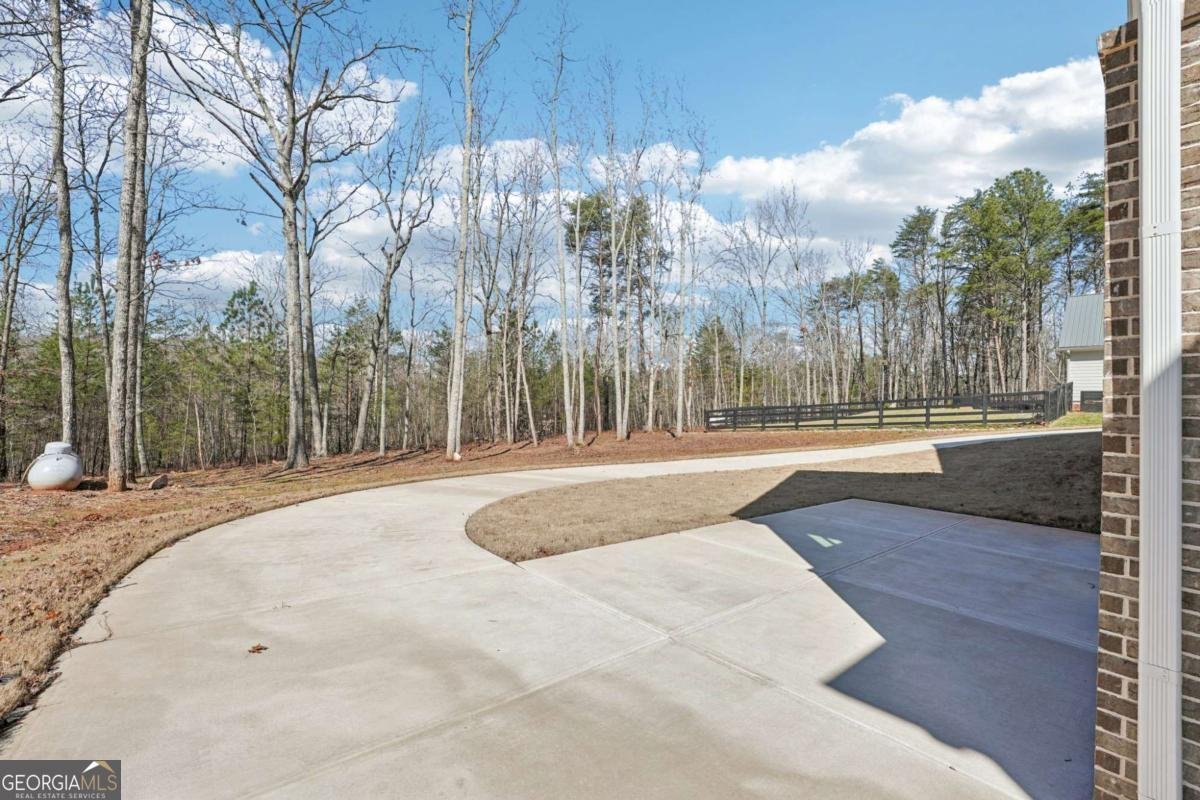 569 Byrd Mountain Lane Canton - Photo 82