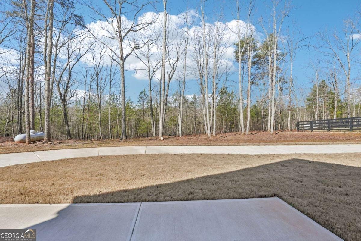 569 Byrd Mountain Lane Canton - Photo 83