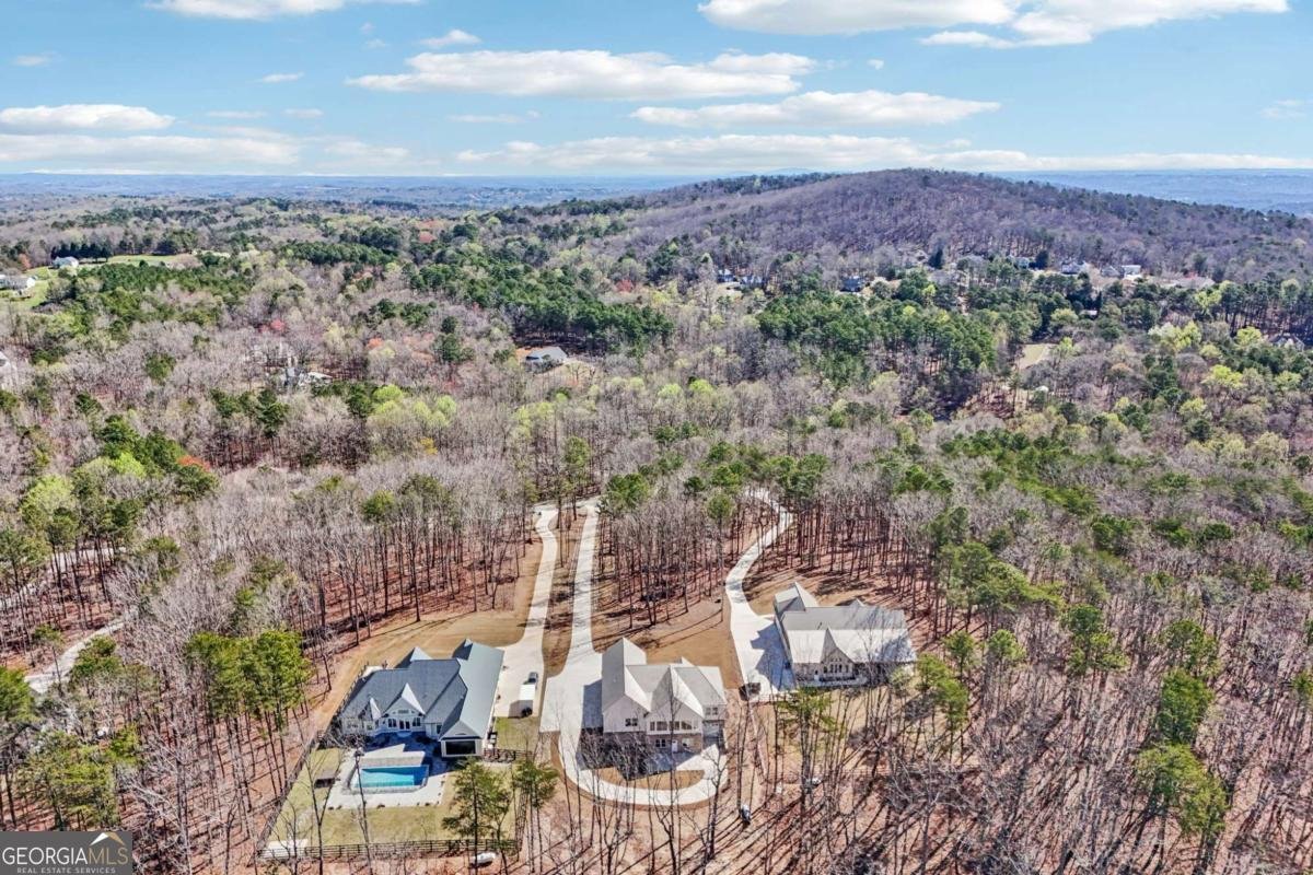 569 Byrd Mountain Lane Canton - Photo 93