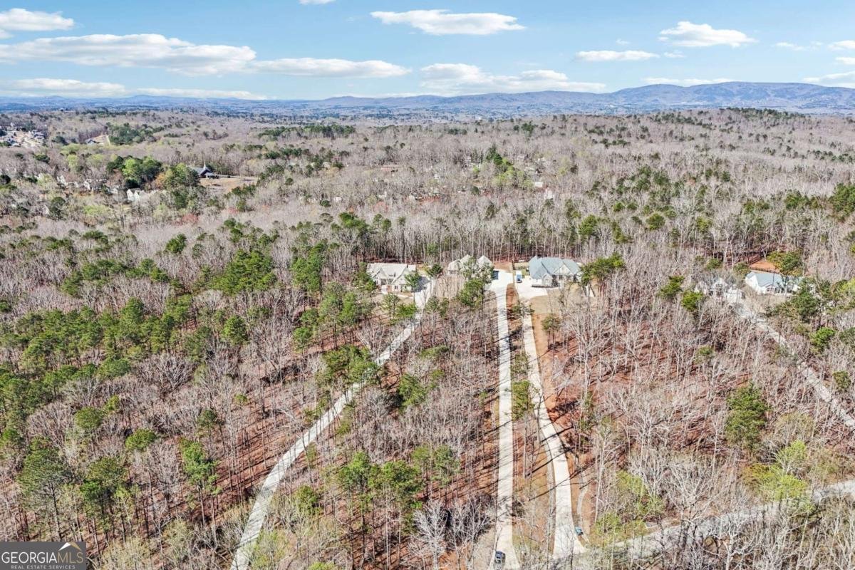 569 Byrd Mountain Lane Canton - Photo 95