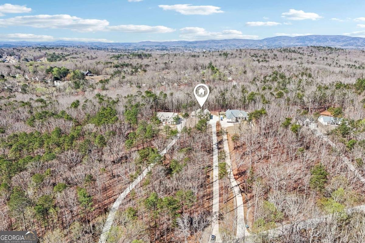 569 Byrd Mountain Lane Canton - Photo 96