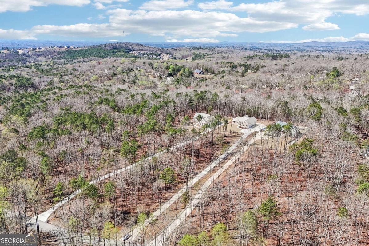 569 Byrd Mountain Lane Canton - Photo 98