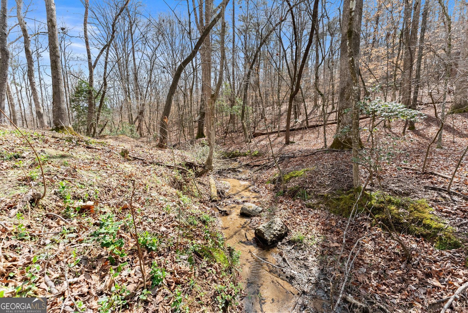 3710 Pebble Creek Point Gainesville - Photo 31