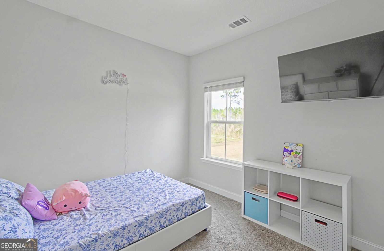 389 McClelland Loop Ludowici - Photo 14