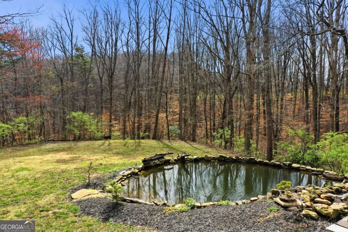 710 Lumber Company Road Talking Rock - Photo 22