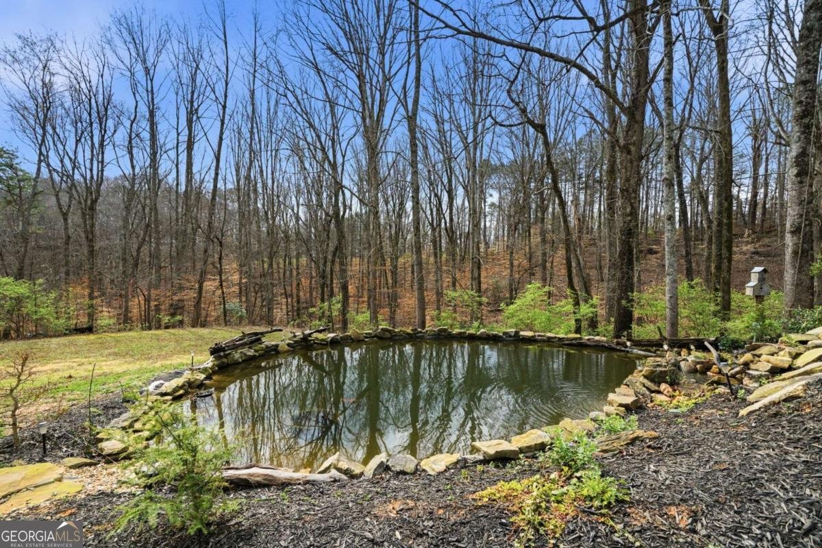 710 Lumber Company Road Talking Rock - Photo 23