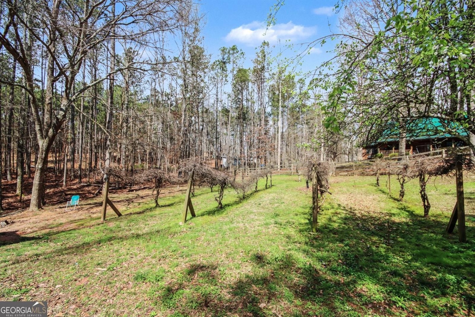 105 Springer Road Whitesburg - Photo 25