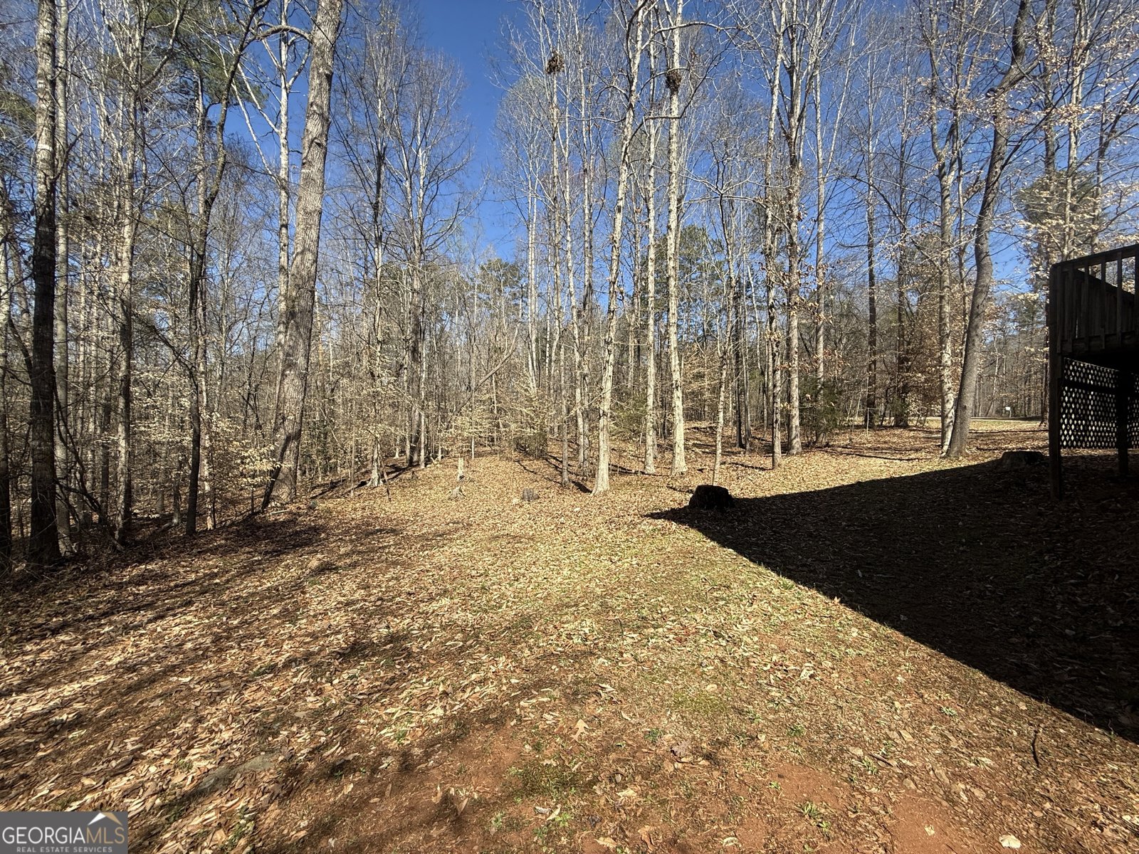 220 De La Taix Lavonia - Photo 7