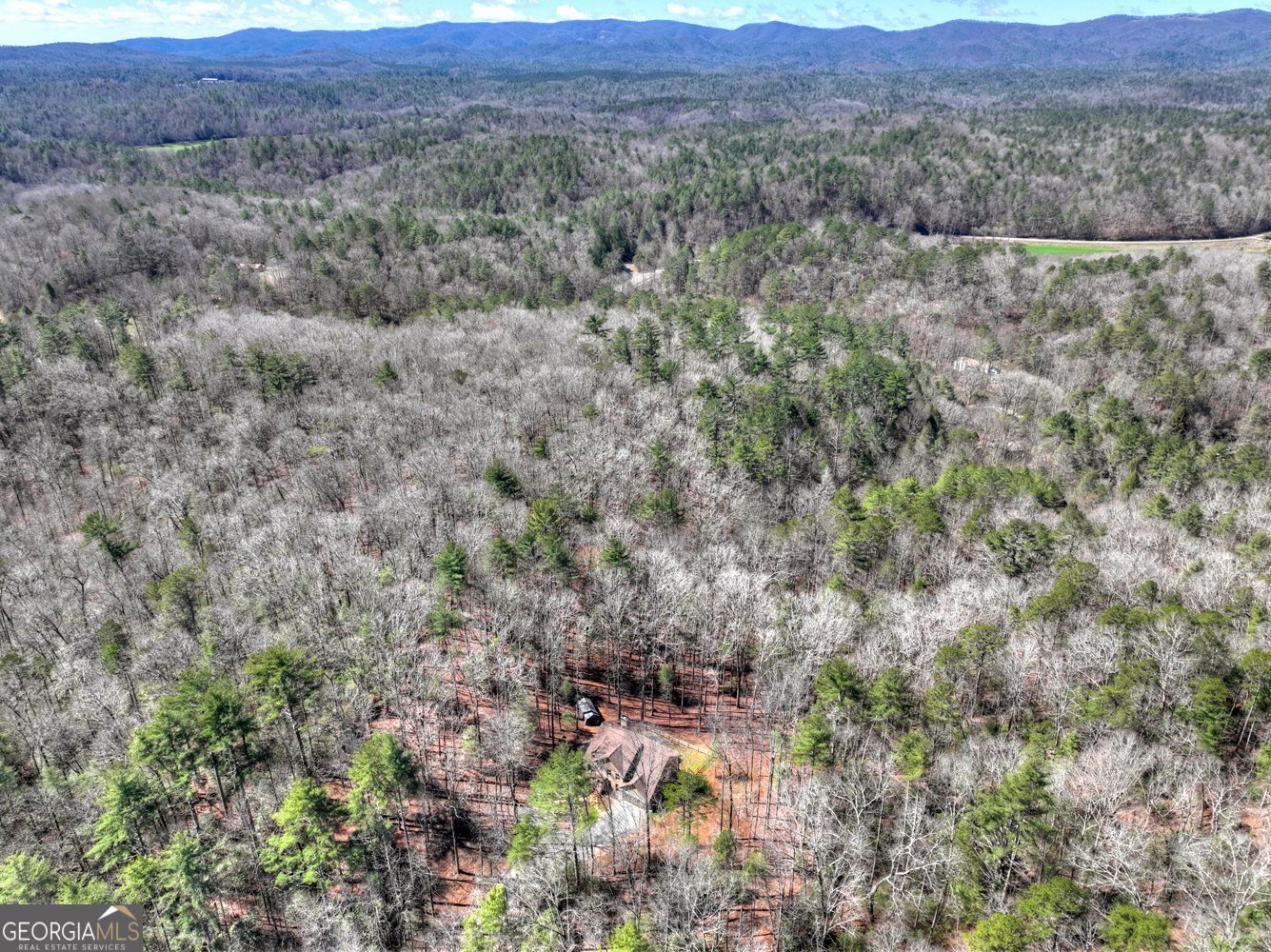 175 Mountain Springs Road Ellijay - Photo 11