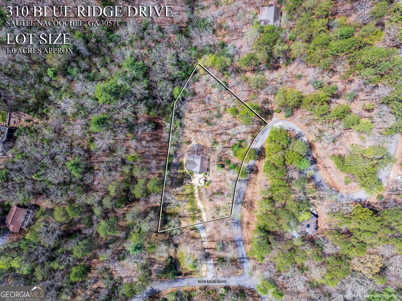 310 Blue Ridge Drive Sautee Nacoochee - Photo 48