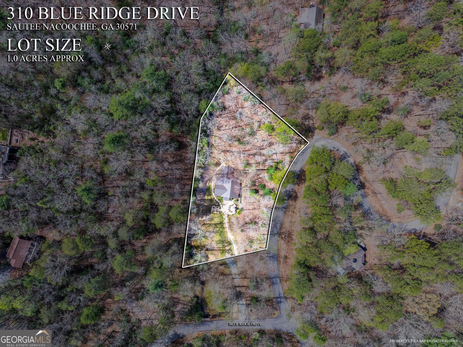 310 Blue Ridge Drive Sautee Nacoochee - Photo 50
