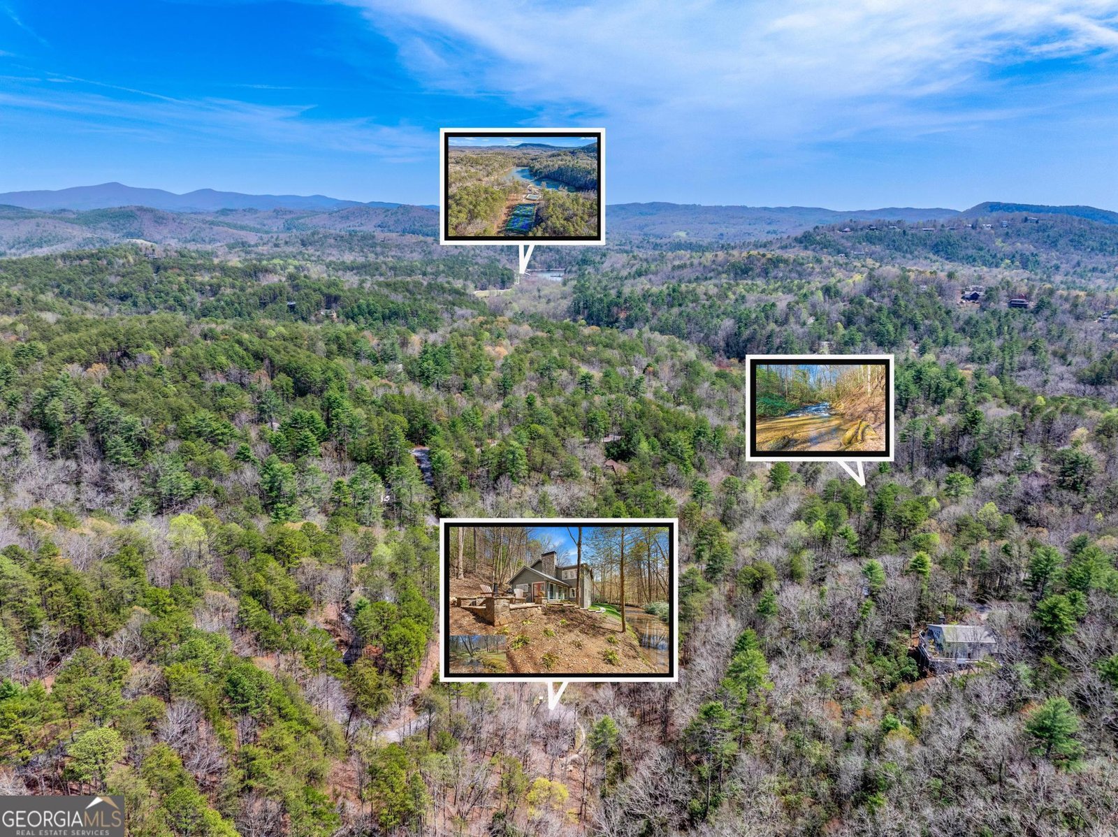 310 Blue Ridge Drive Sautee Nacoochee - Photo 59