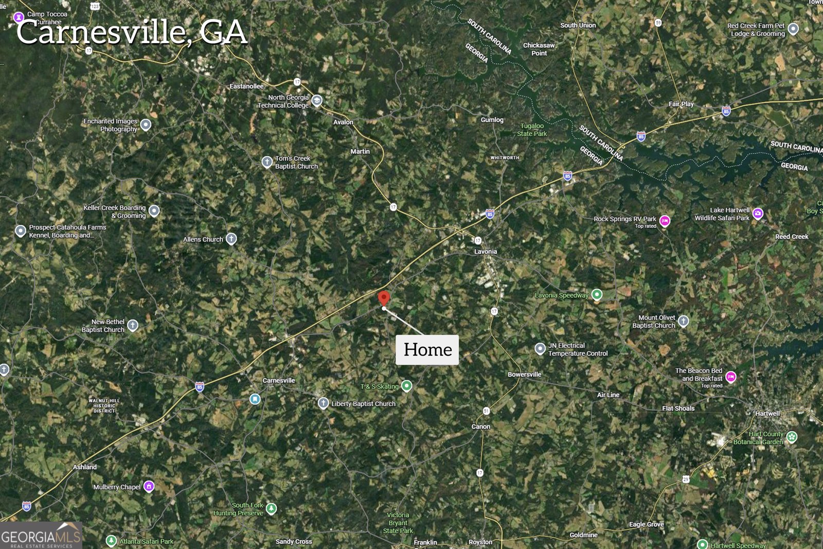 148 Allen Drive Lavonia - Photo 54