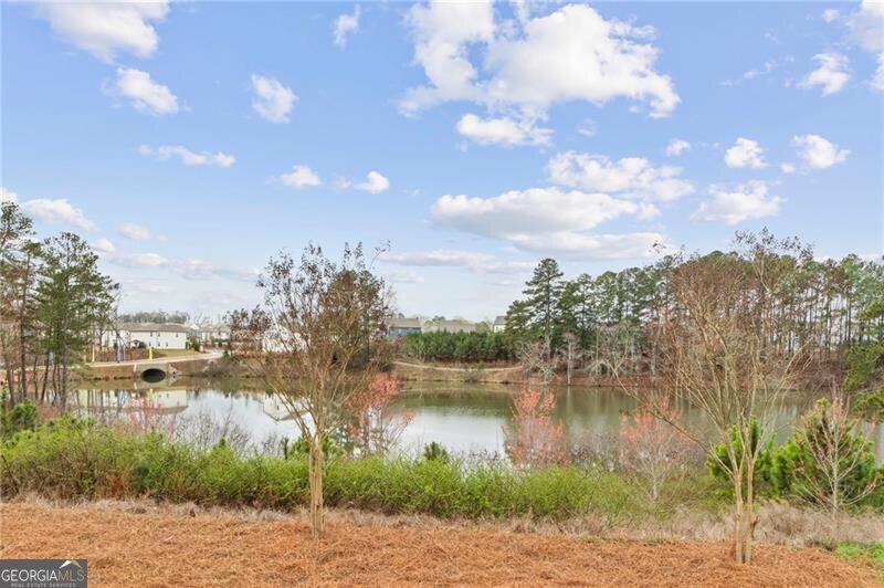 161 Jameson Drive Acworth - Photo 30